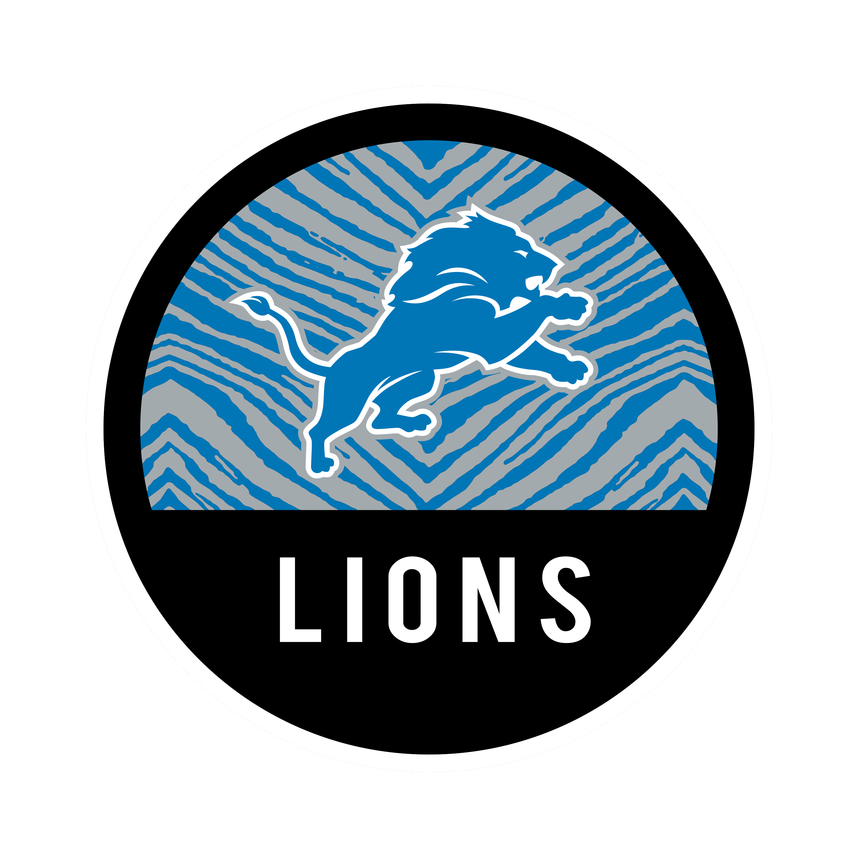 Detroit Lions