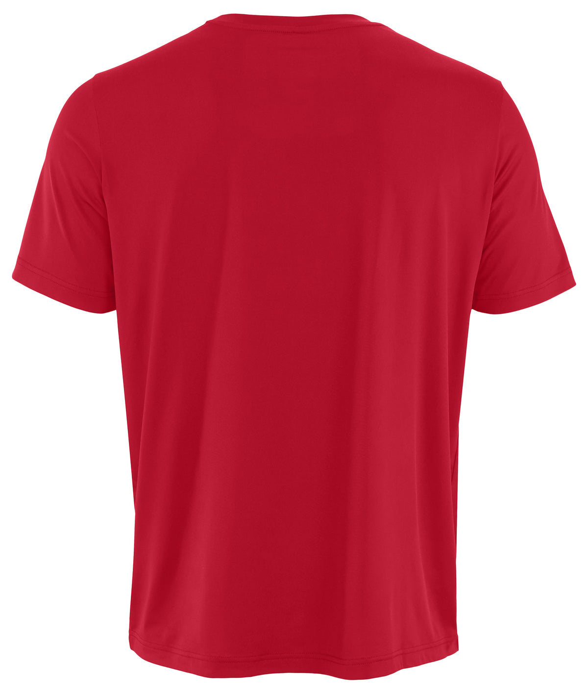 Zubaz NFL Men's Repeat Play Primary Team Color Short Sleeve T-Shirt, Tampa Bay Buccaneers - Official NFL Licensed Zubaz Appar