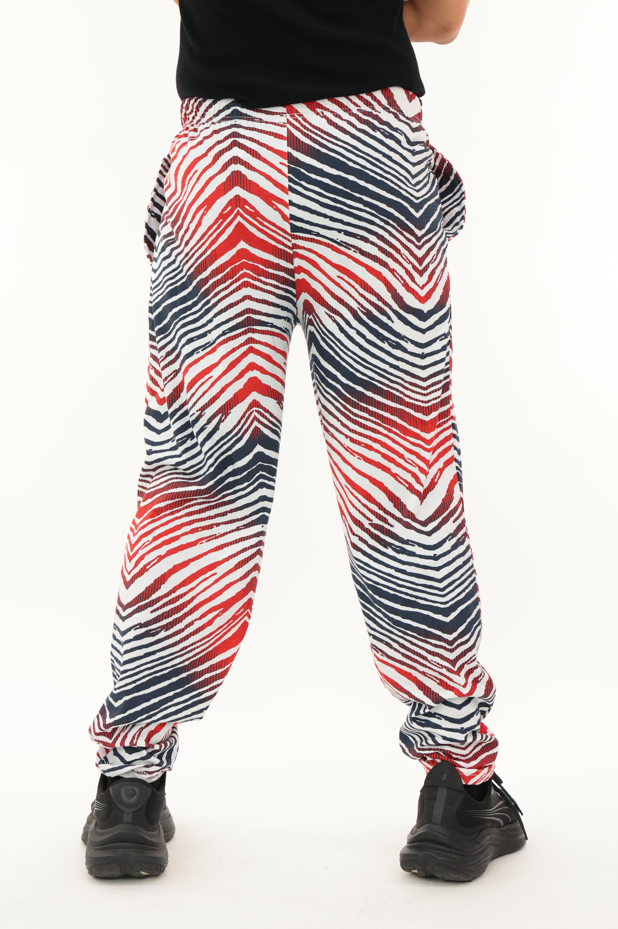Zubaz NFL Adult Unisex Z88 Embroidered Zebra Ombre TMC Pants, Houston Texans - Official NFL Texans Zubaz Apparel (5 of 7)