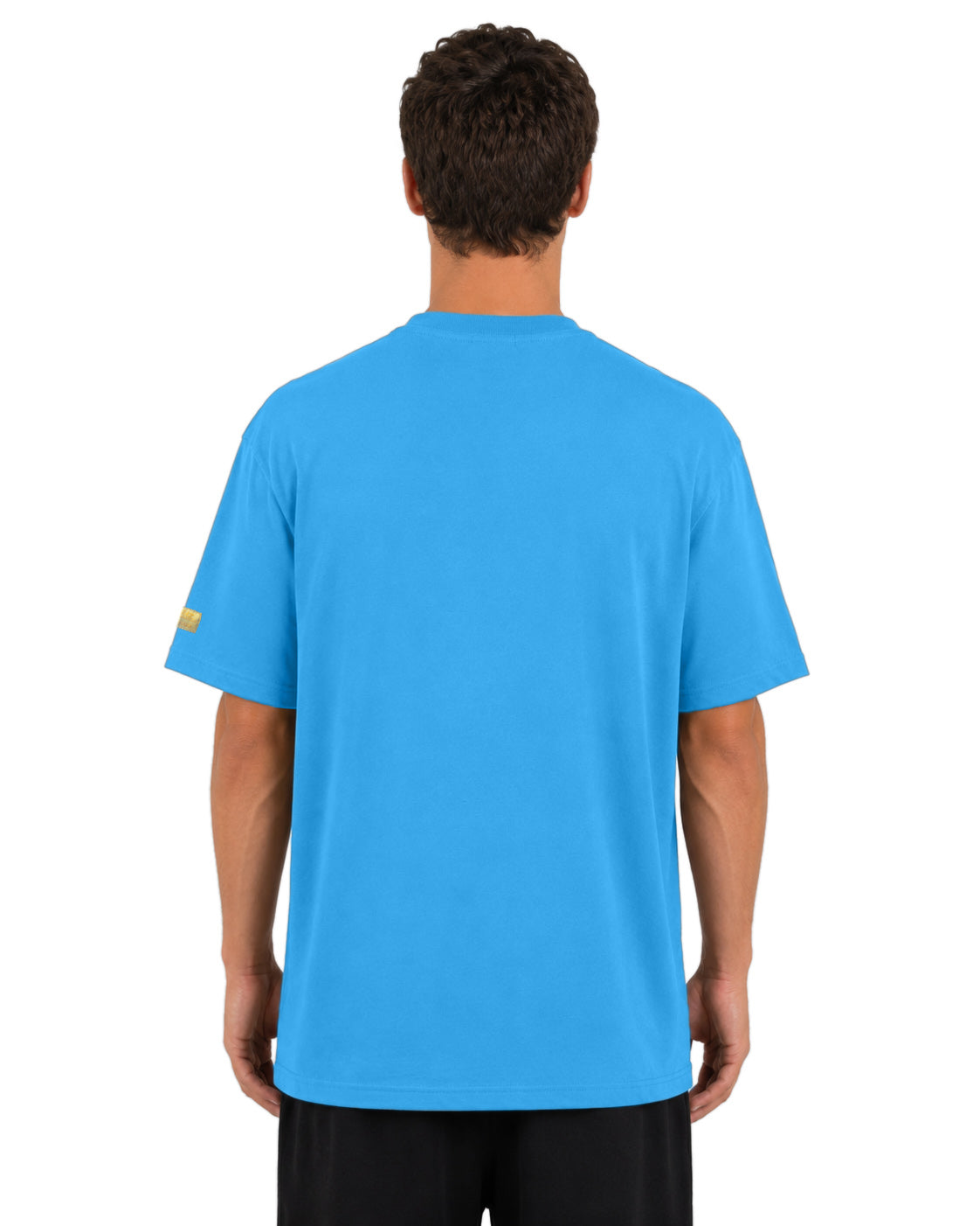 Zubaz NFL Vintage 90s MVP Graphic T-Shirt, Detroit Lions