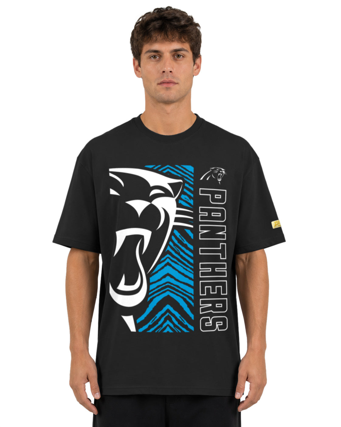 Zubaz NFL Vintage 90s MVP Graphic T-Shirt, Carolina Panthers