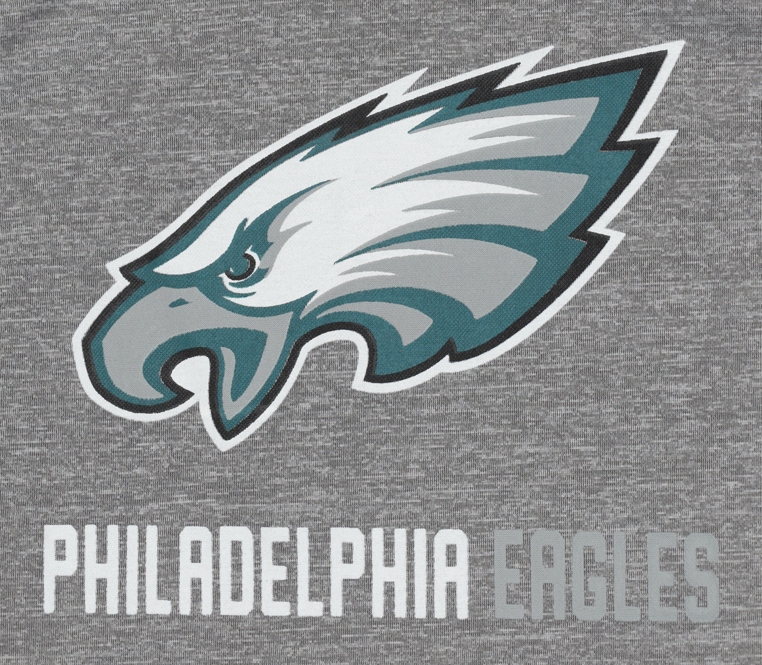 Zubaz NFL Philadelphia Eagles Men's Gray Team Name and Logo Zebra Hoodie