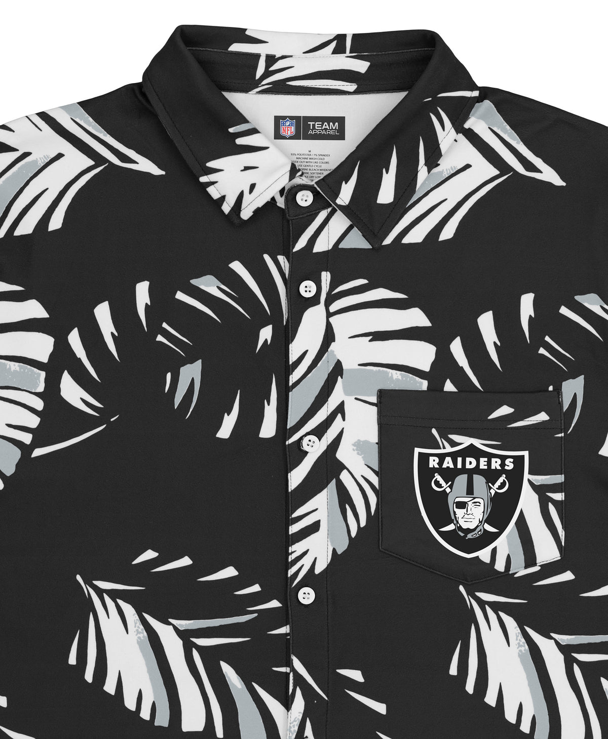 raiders (4)