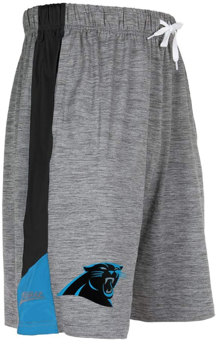 Zubaz NFL Football Men's Carolina Panthers Tonal Gray Space Dye W/Solid Stripe Shorts