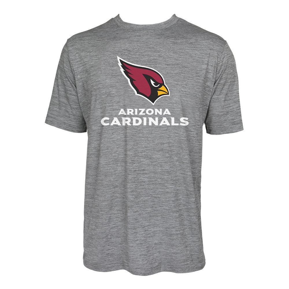 Zubaz NFL Men's Arizona Cardinals Team Name and Logo Wordmark Tee
