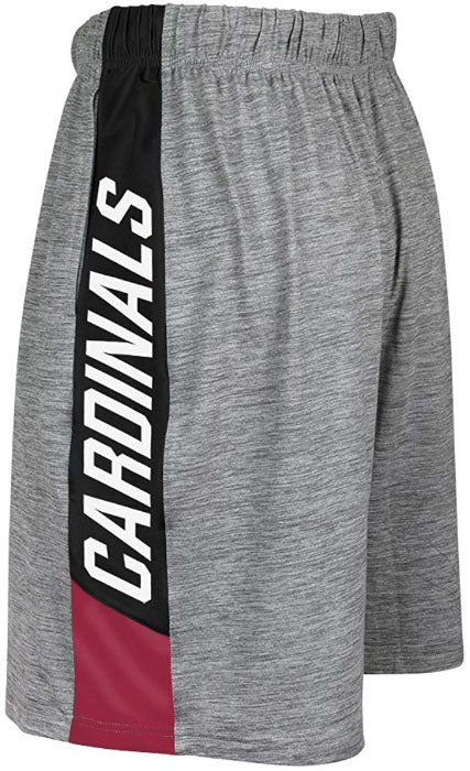 Zubaz NFL Football Men's Arizona Cardinals Tonal Gray Space Dye W/Solid Stripe Shorts