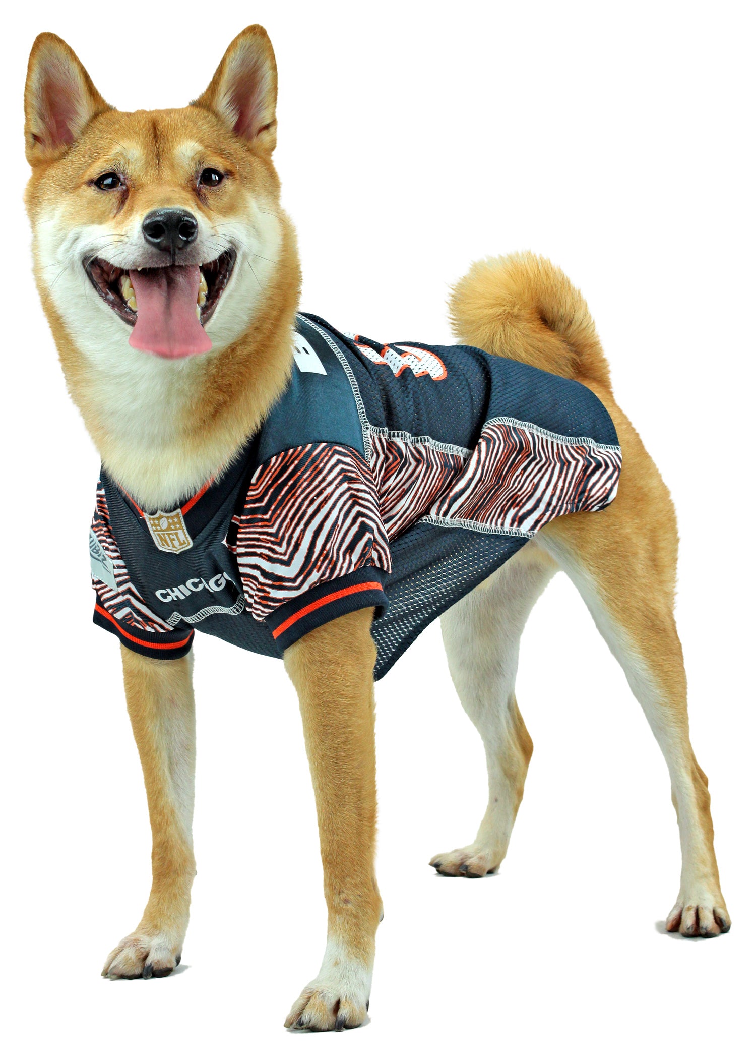 Zubaz X Pets First NFL Detroit Lions Jersey For Dogs & Cats, Blue