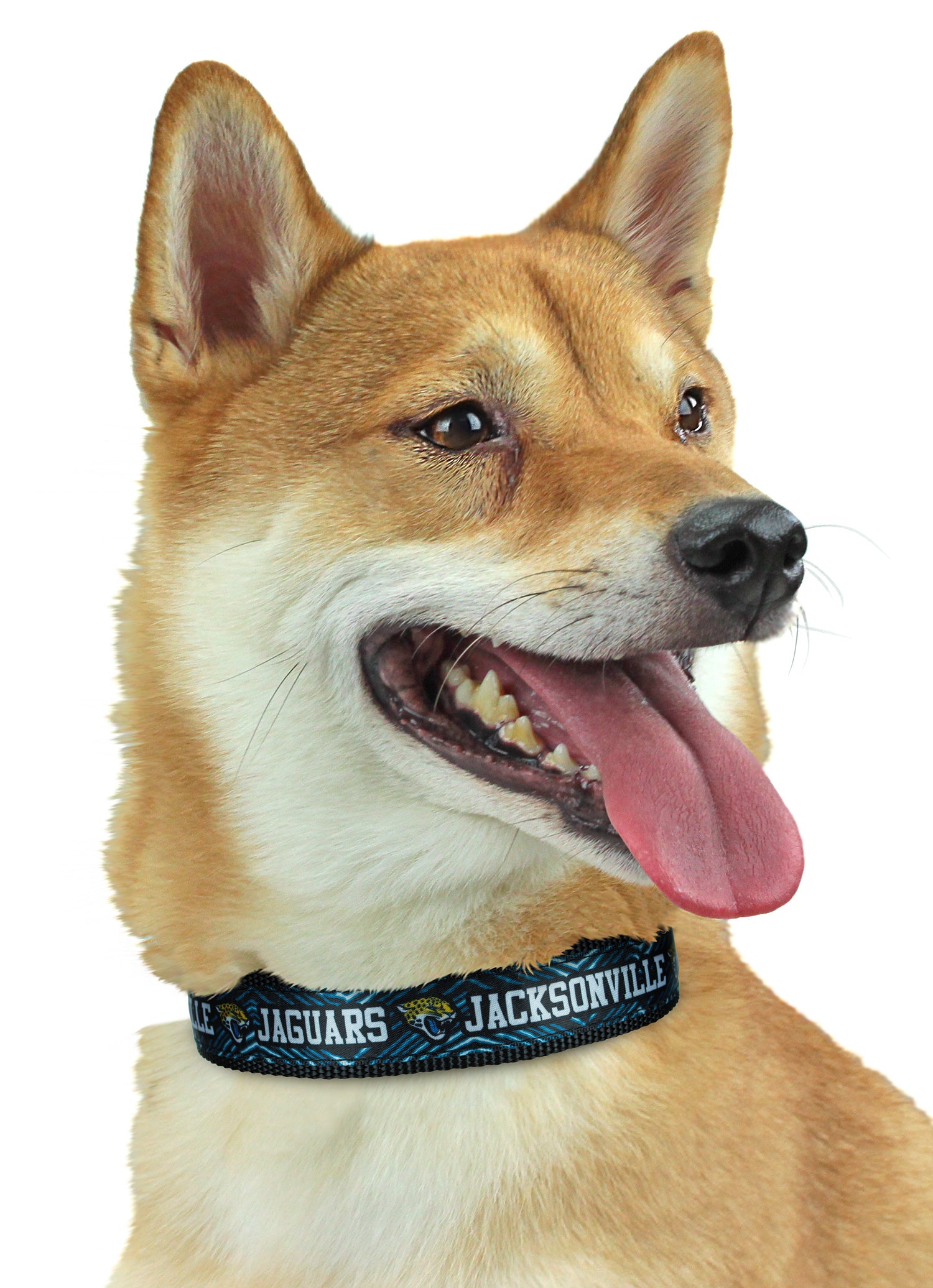 Zubaz X Pets First NFL Jacksonville Jaguars Team Adjustable Dog Collar