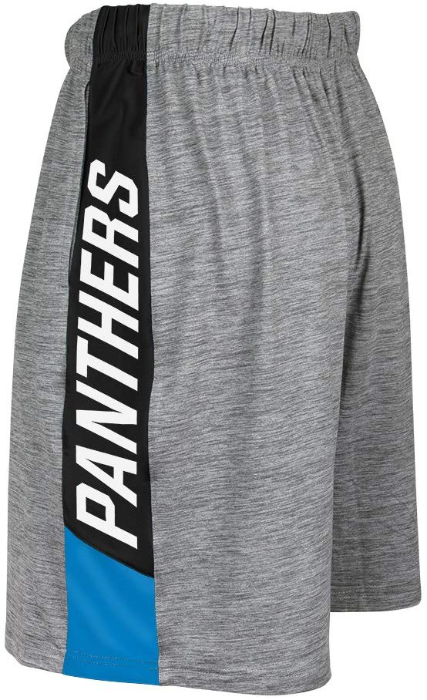 Zubaz NFL Football Men's Carolina Panthers Tonal Gray Space Dye W/Solid Stripe Shorts
