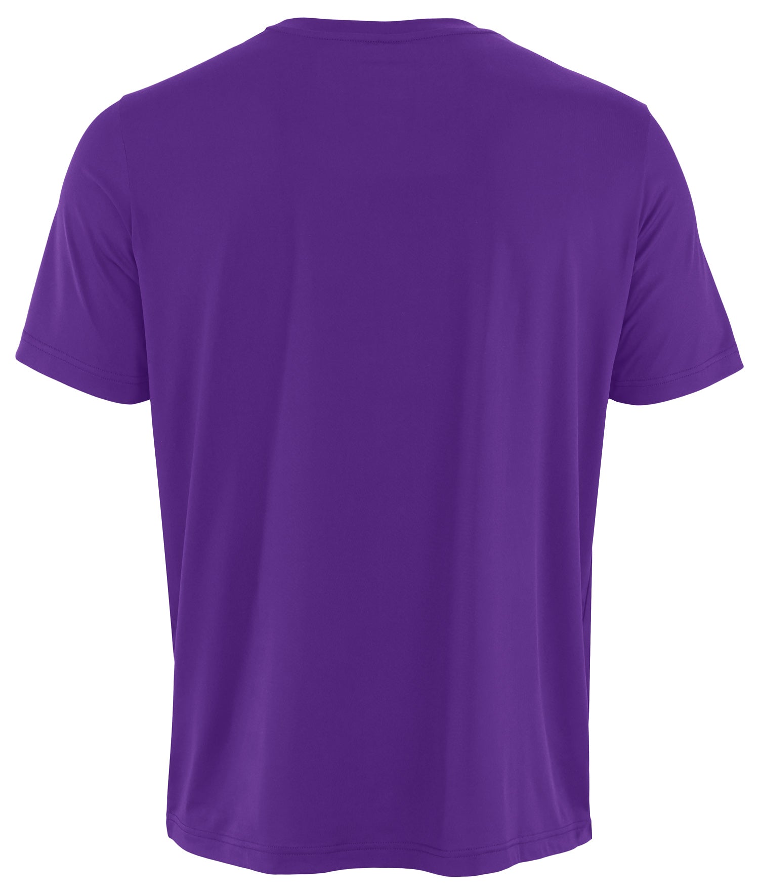 Zubaz NFL Men's Goal Line Team Color Short Sleeve T-Shirt, Minnesota Vikings