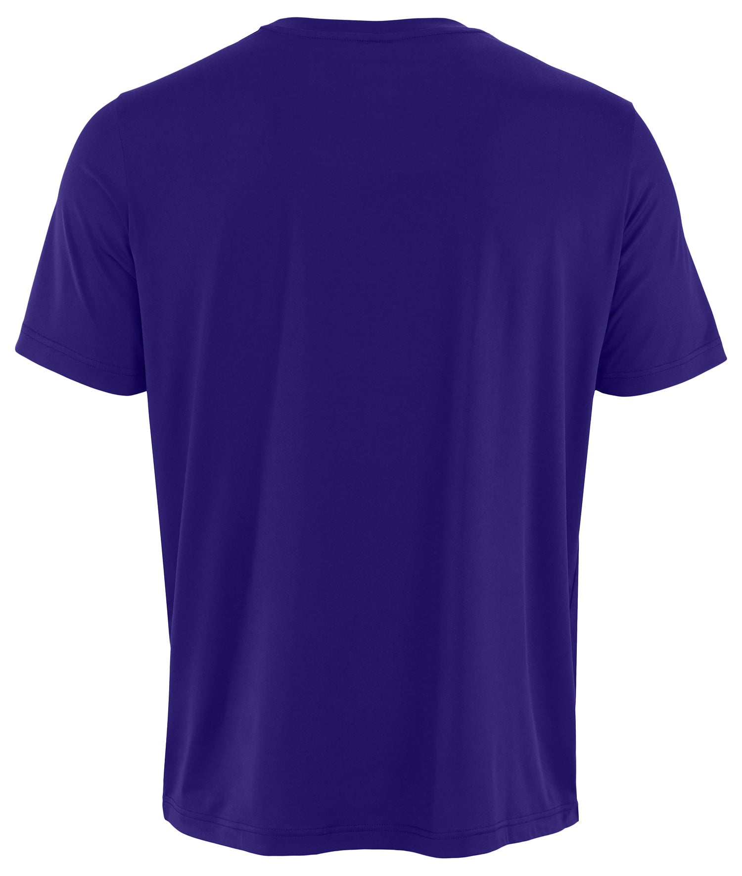 Zubaz NFL Men's Goal Line Team Color Short Sleeve T-Shirt, Baltimore Ravens