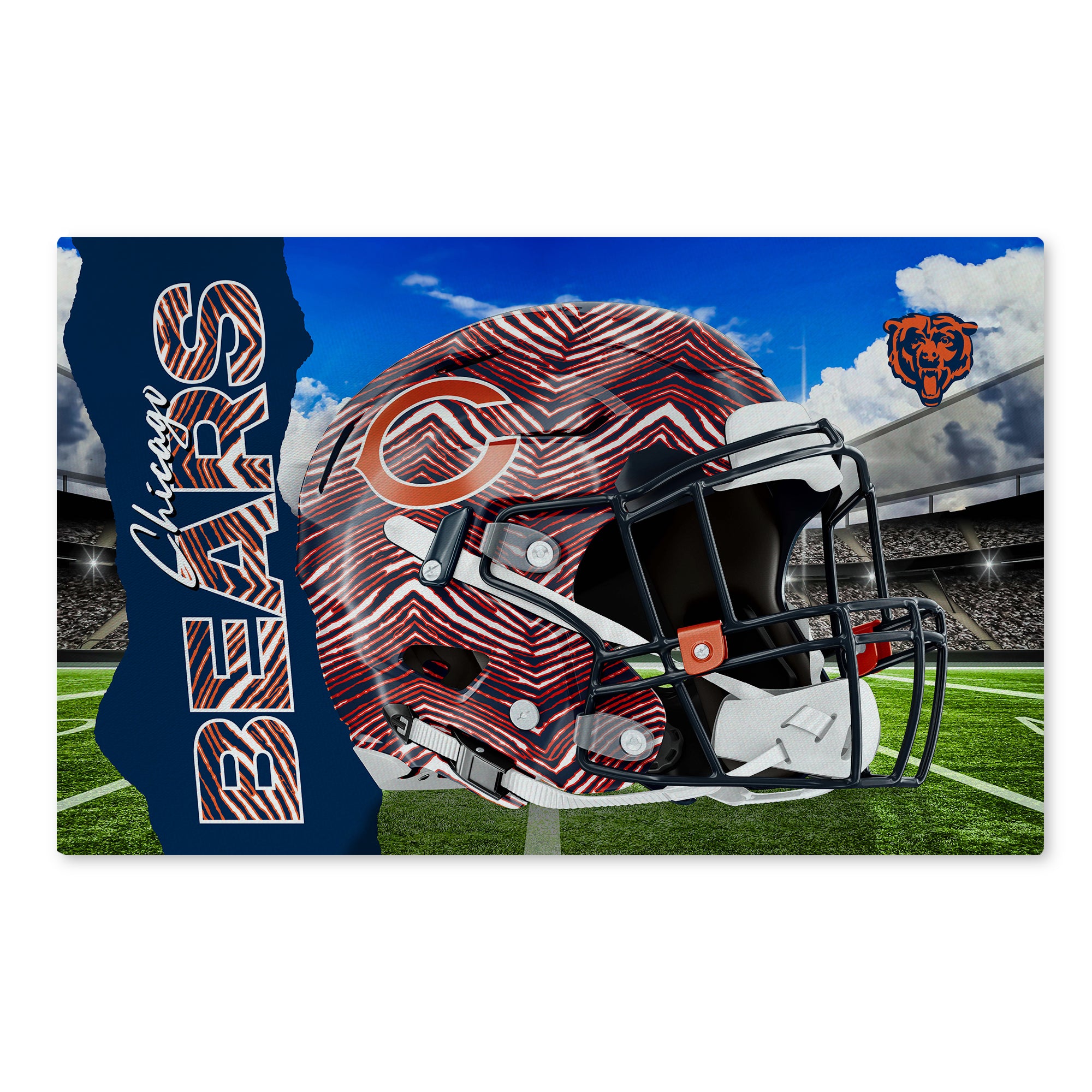 Zubaz X Northwest 20X32 WASHABLE RUG ZUBAZ - BEARS