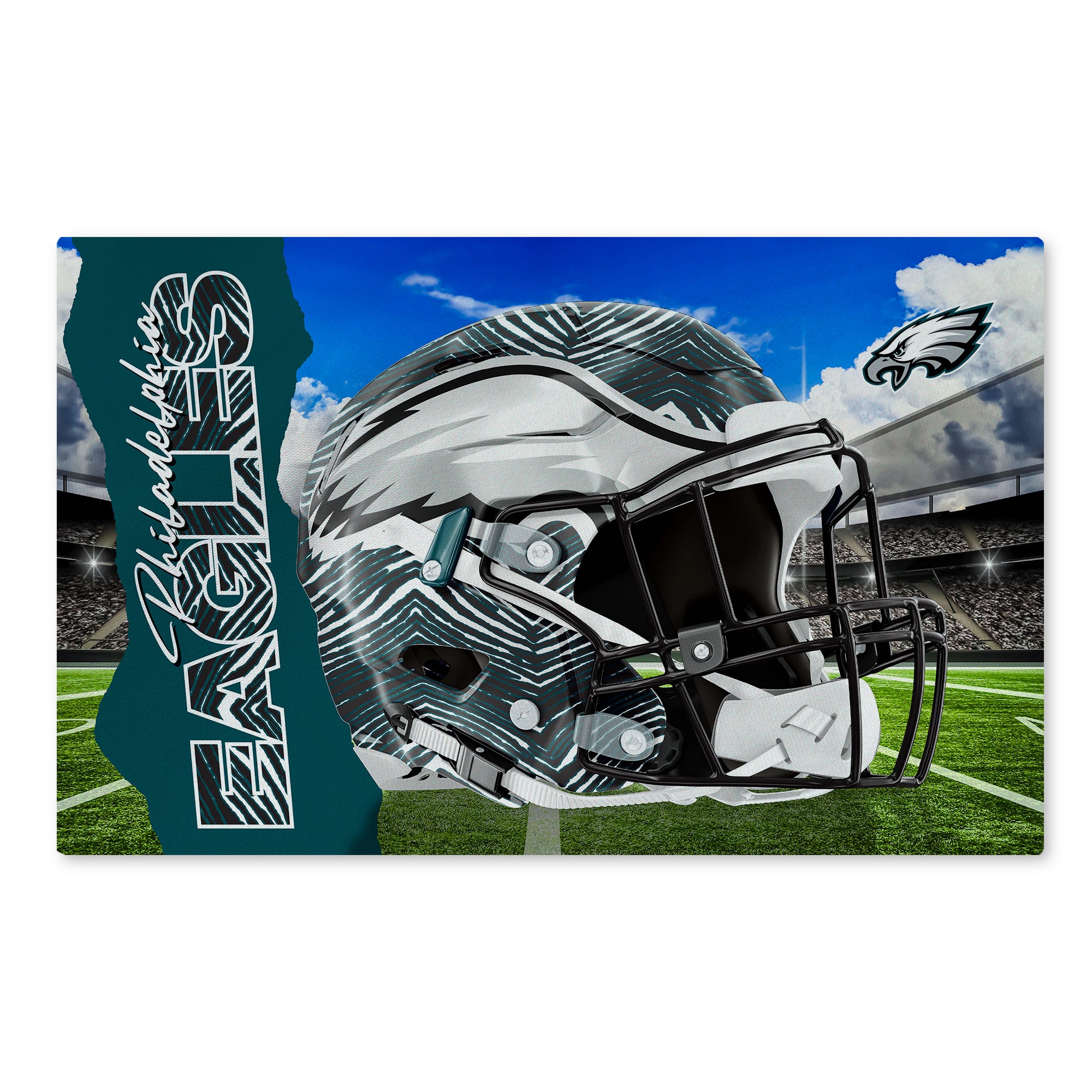 Zubaz X Northwest 20X32 WASHABLE RUG ZUBAZ - EAGLES