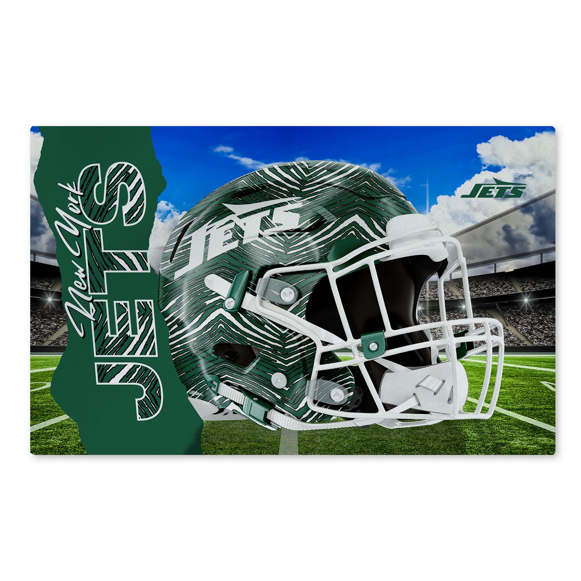 Zubaz X Northwest 20X32 WASHABLE RUG ZUBAZ - JETS