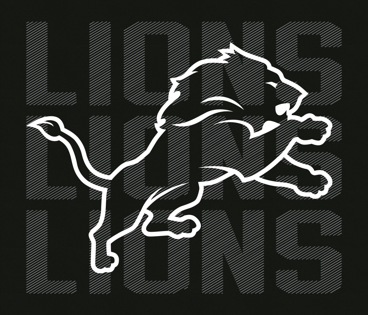 Zubaz NFL   Men's Tonal Camo Line Back Panel Hoodie, DETROIT LIONS