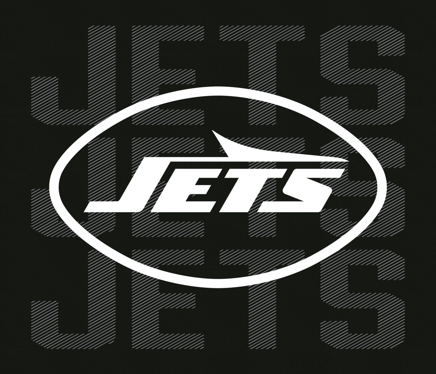 Zubaz NFL   Men's Tonal Camo Line Back Panel Hoodie, NEW YORK JETS