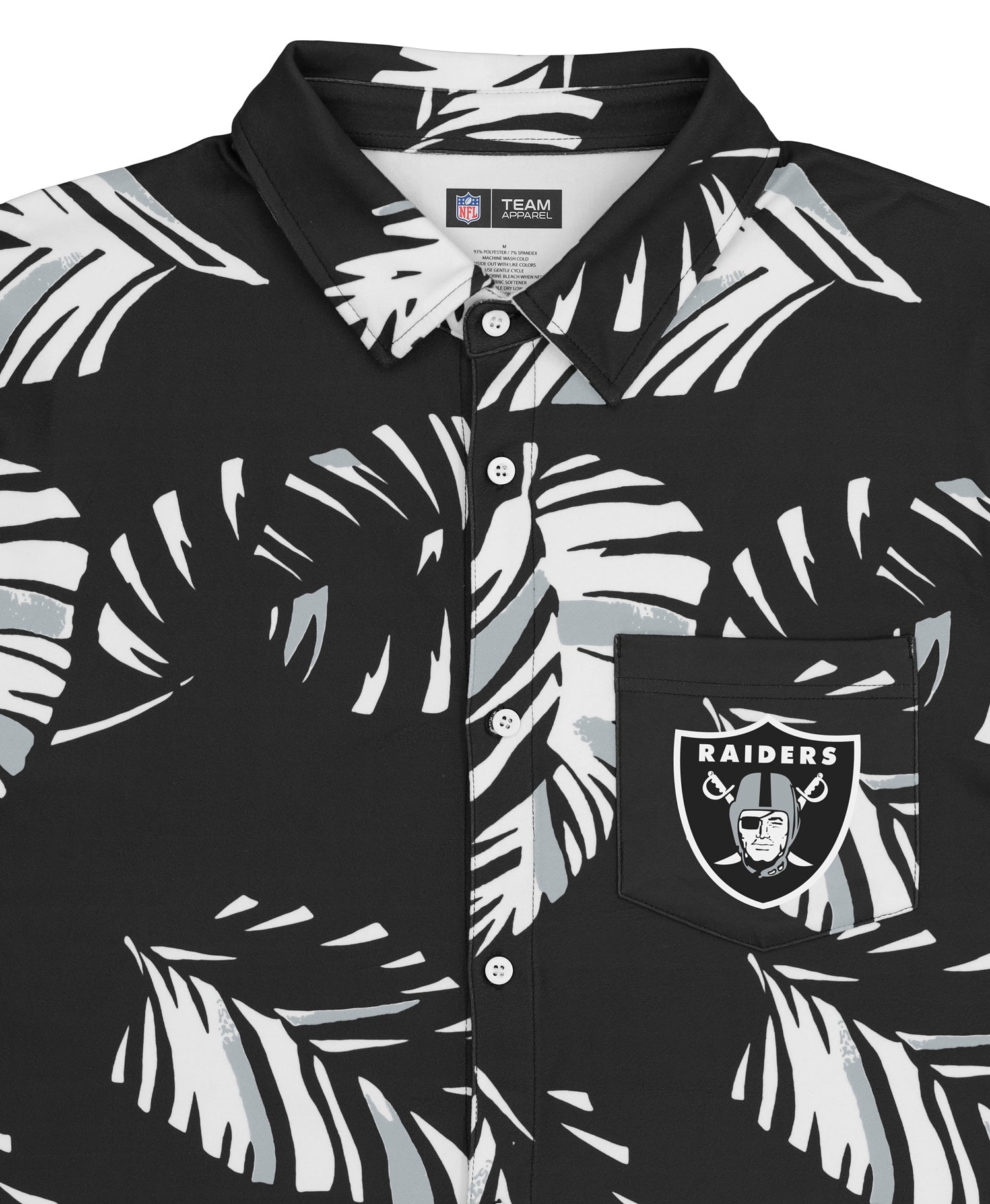 raiders (4)