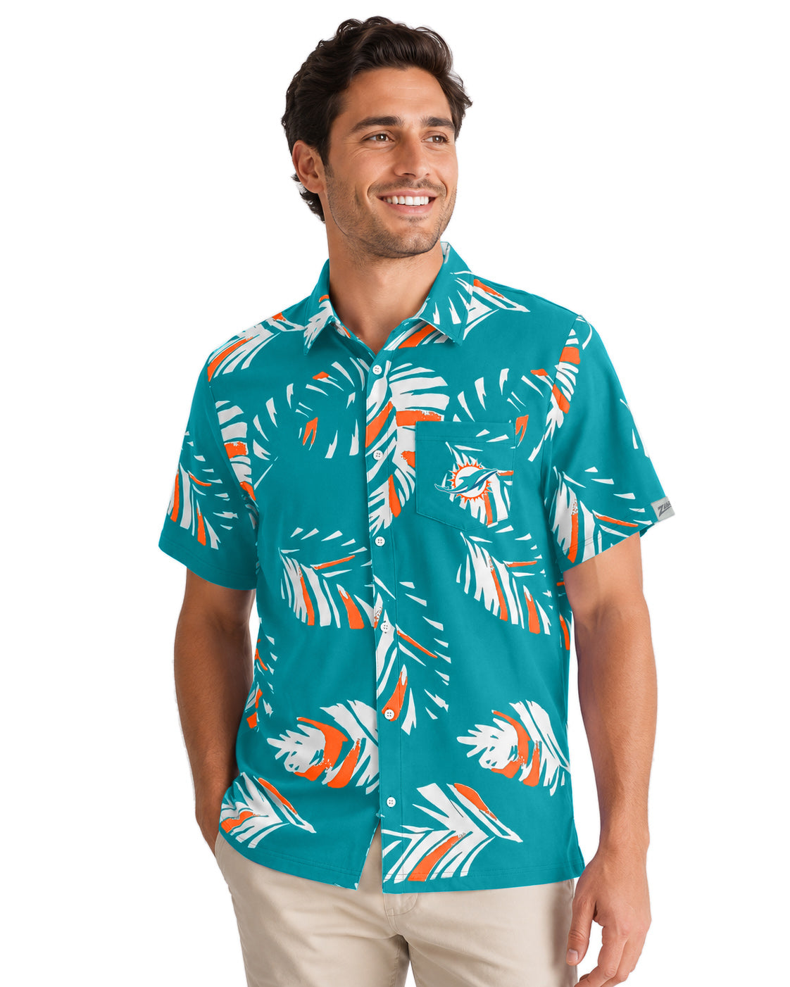 dolphins (1)
