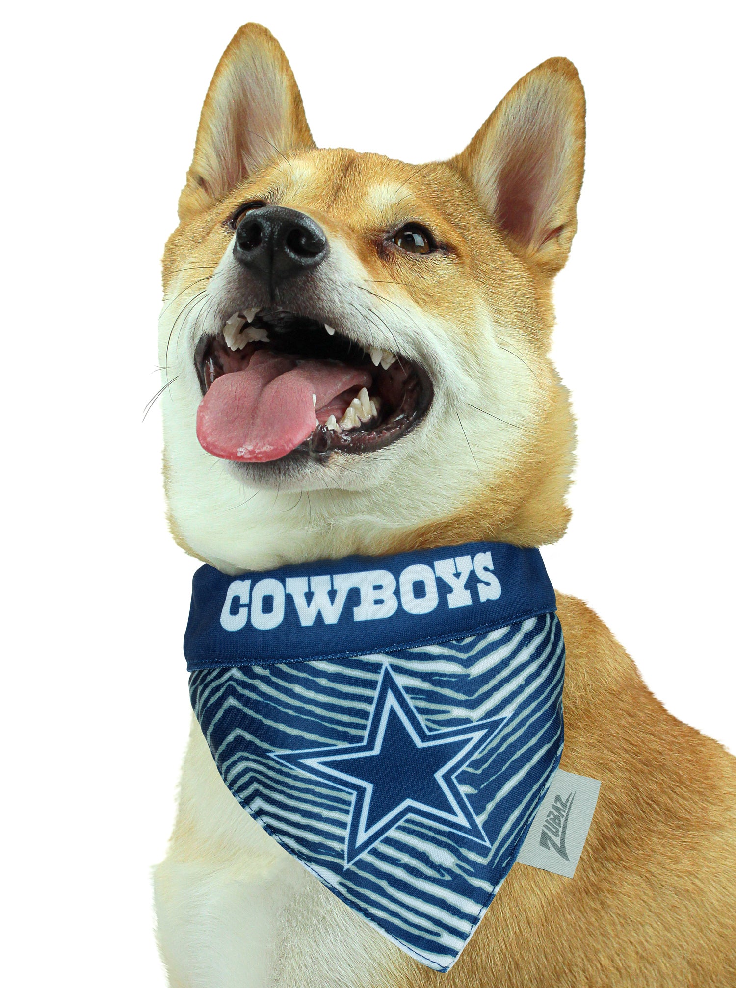 Dallas cowboys dog jersey best sale