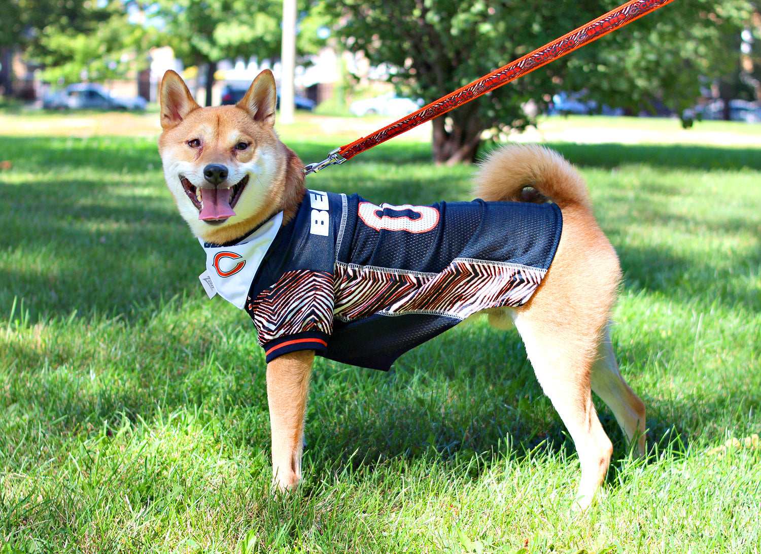 Zubaz X Pets First NFL Chicago Bears Team Pet Jersey For Dogs