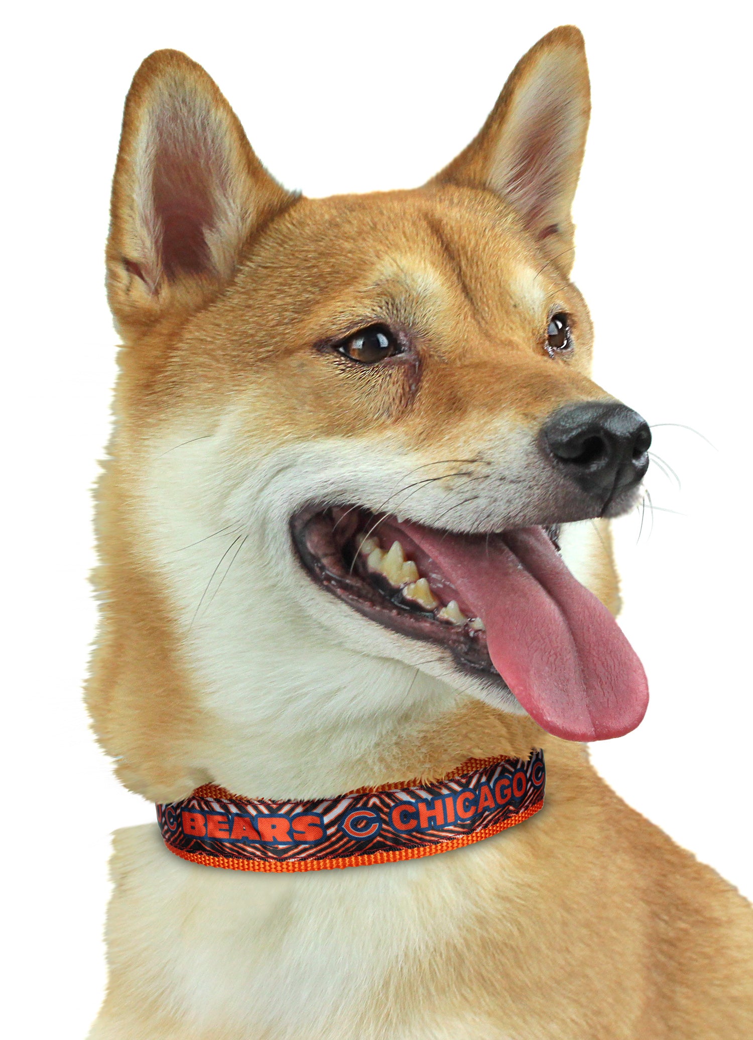 Zubaz X Pets First NFL Chicago Bears Team Adjustable Dog Collar