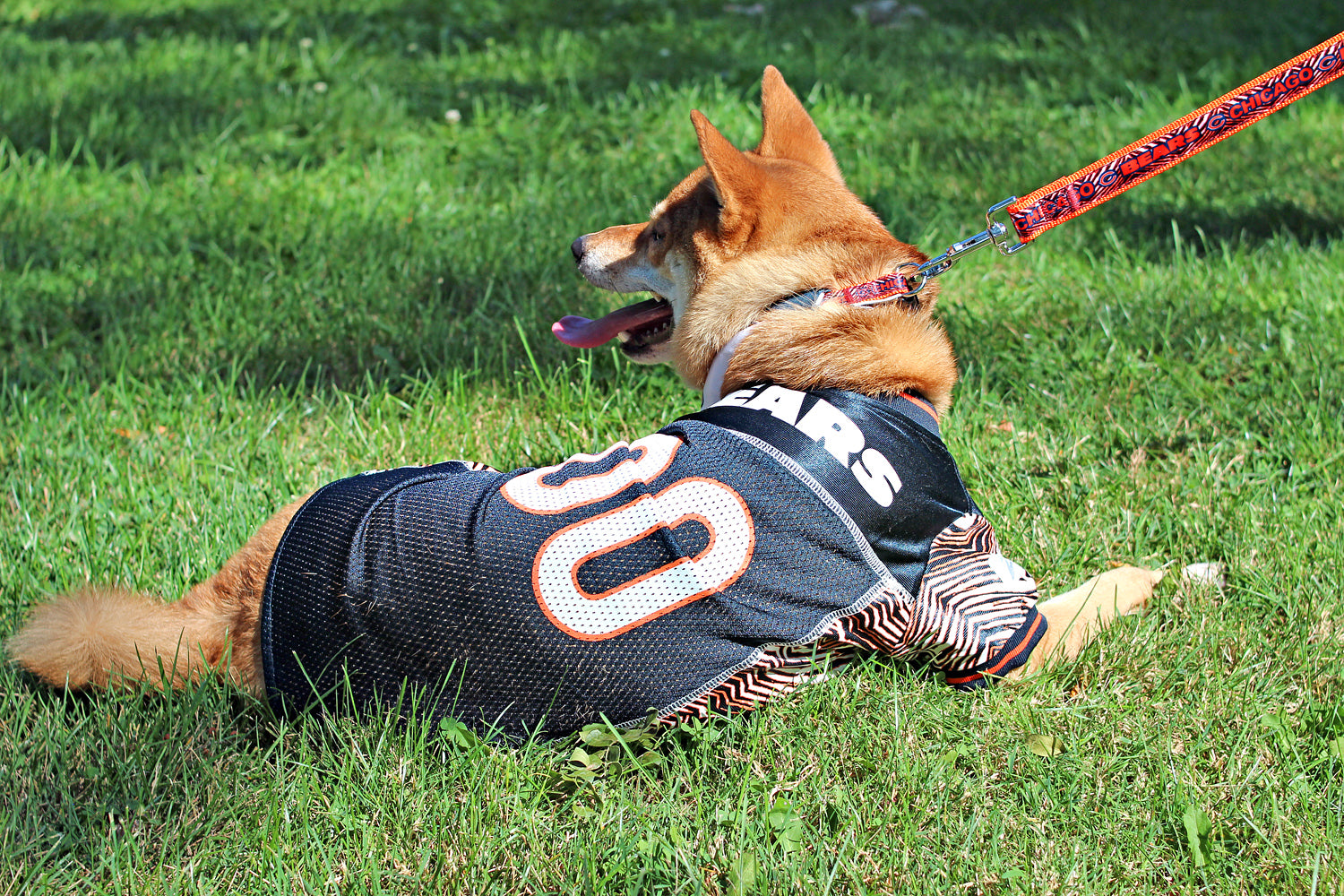 Zubaz X Pets First NFL Chicago Bears Team Pet Jersey For Dogs