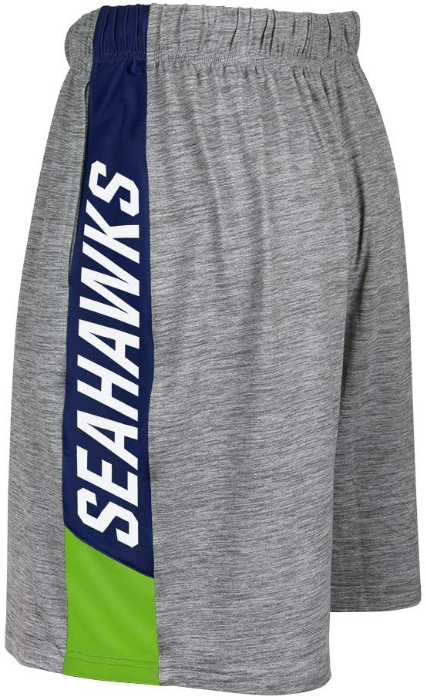 Zubaz NFL Football Men's Seattle Seahawks Tonal Gray Space Dye W/Solid Stripe Shorts