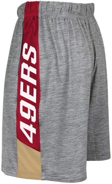 Zubaz NFL Football Men's San Francisco 49ers Tonal Gray Space Dye W/Solid Stripe Shorts