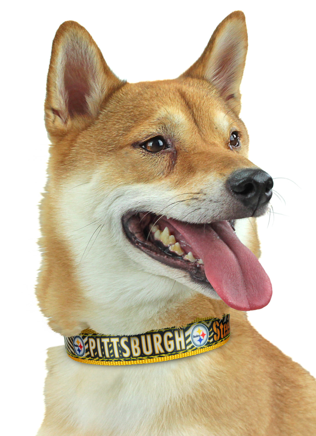Zubaz X Pets First NFL Pittsburgh Steelers Team Adjustable Dog Collar
