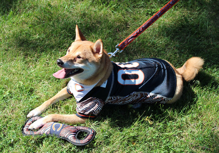 Zubaz X Pets First NFL Atlanta Falcons Team Logo Dog Tug Toy with Squeaker