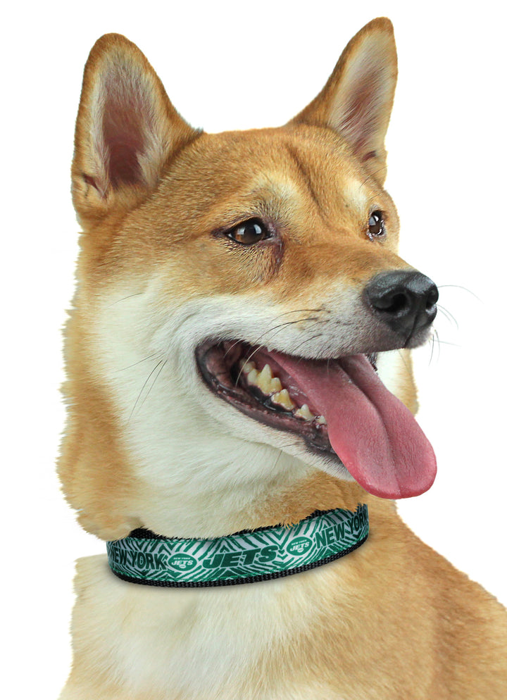 Zubaz X Pets First NFL New York Jets Team Adjustable Dog Collar