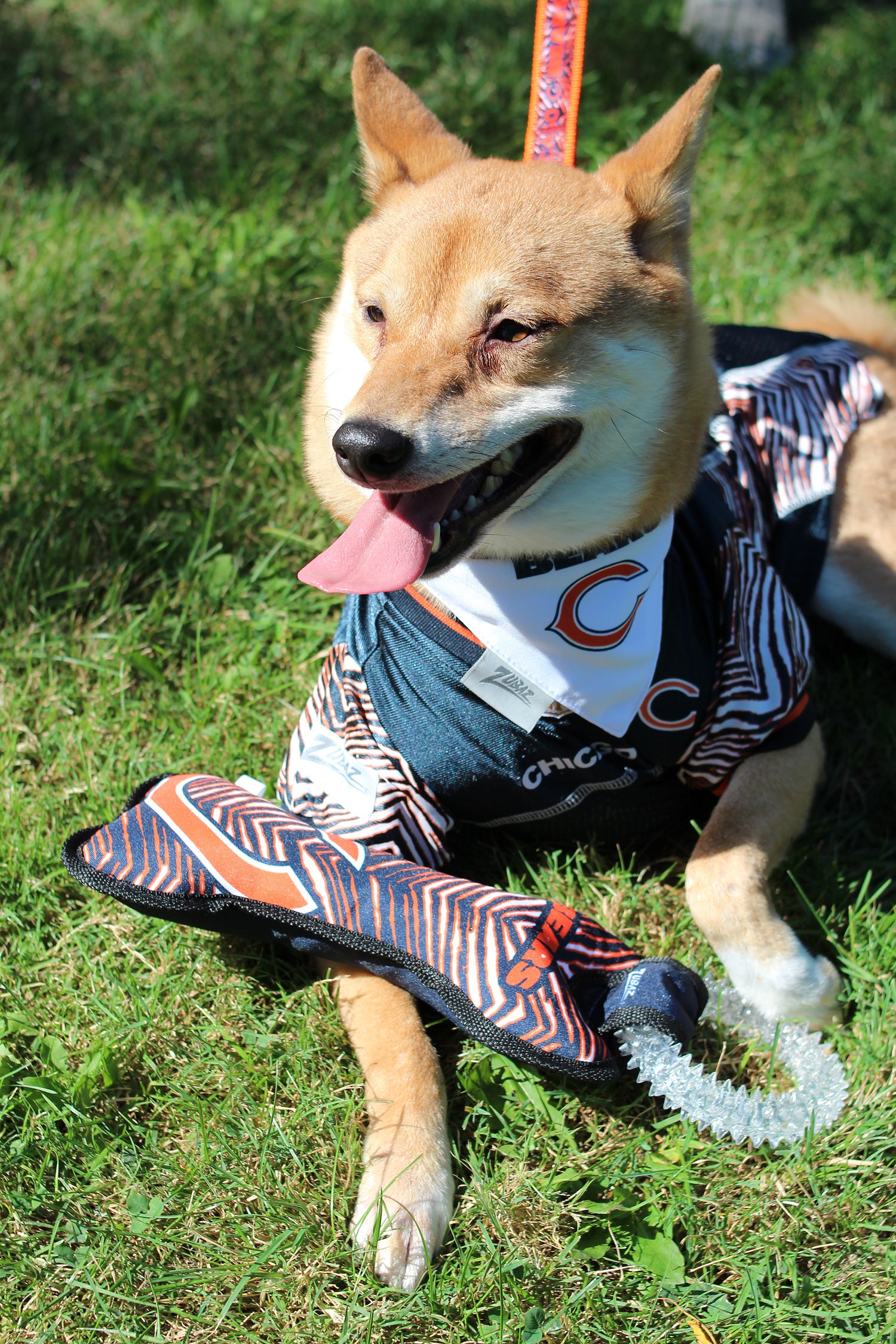 Zubaz X Pets First NFL Los Angeles Chargers Team Ring Tug Toy for Dogs