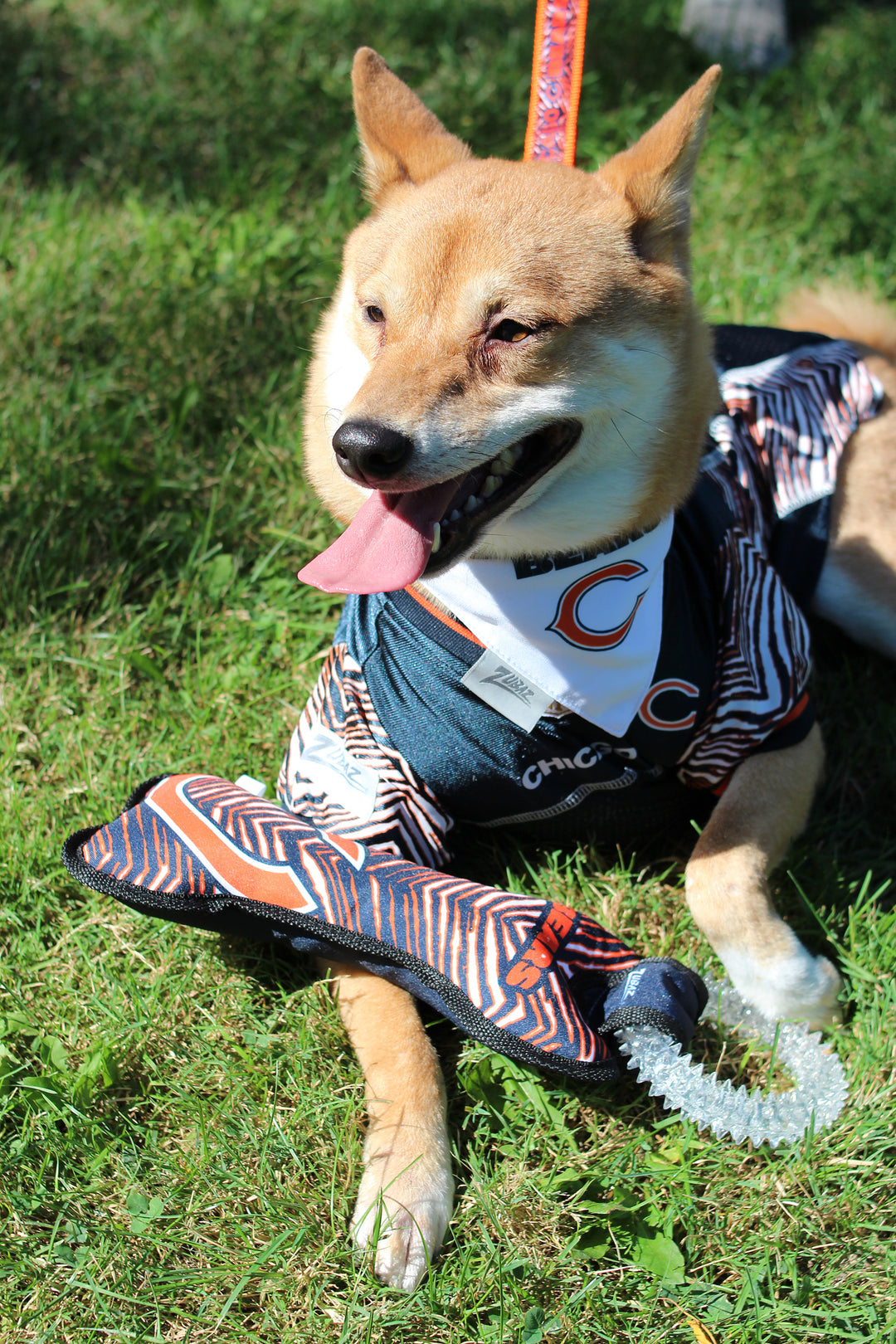 Zubaz X Pets First NFL Chicago Bears Team Ring Tug Toy for Dogs