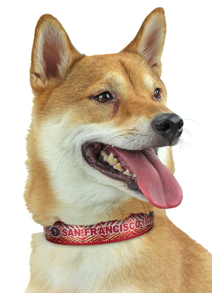 Zubaz X Pets First NFL San Francisco 49Ers Team Adjustable Dog Collar