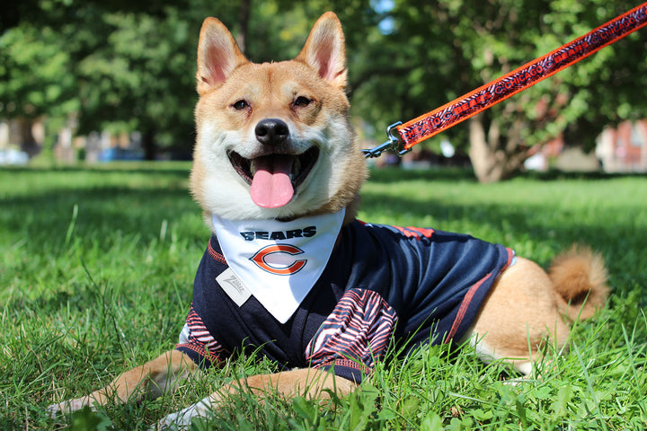 Zubaz X Pets First NFL Chicago Bears Team Pet T-Shirt For Dogs